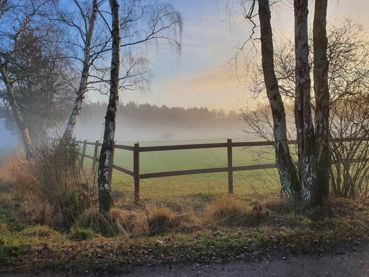 Vila Haus Gutland Wedel Exteriér fotografie